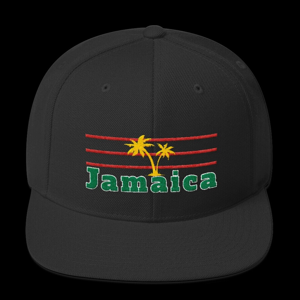 Embroidered Snapbacks