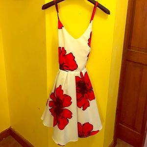 Poppy patterned Dress with full skirt