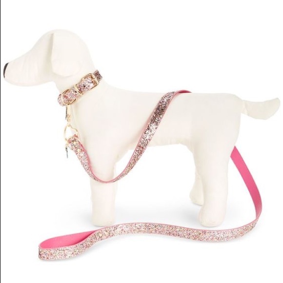 Betsey Johnson Xox Troll Dog Collar & Leash - Picture 2 of 2