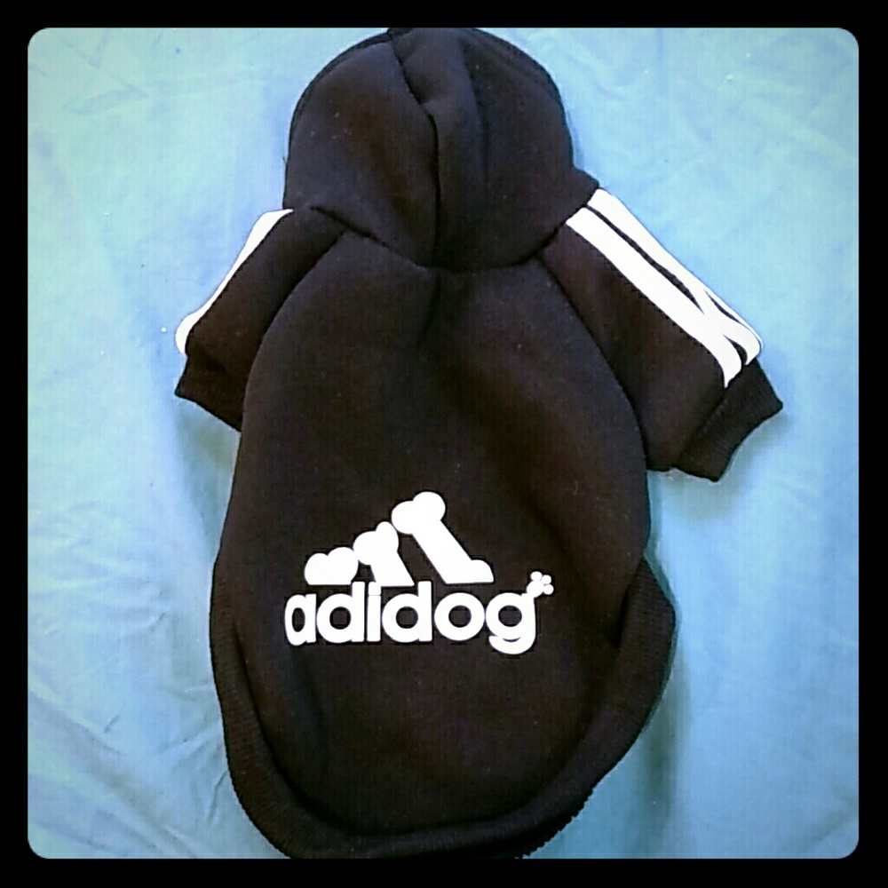 Dog Sweatshirt or Hoodie