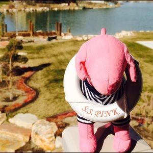 My new addition! NOT FOR SALE