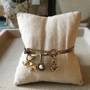 Charmed Bangle (elephant)