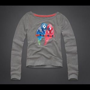 Hollister Gray Parrot sweater