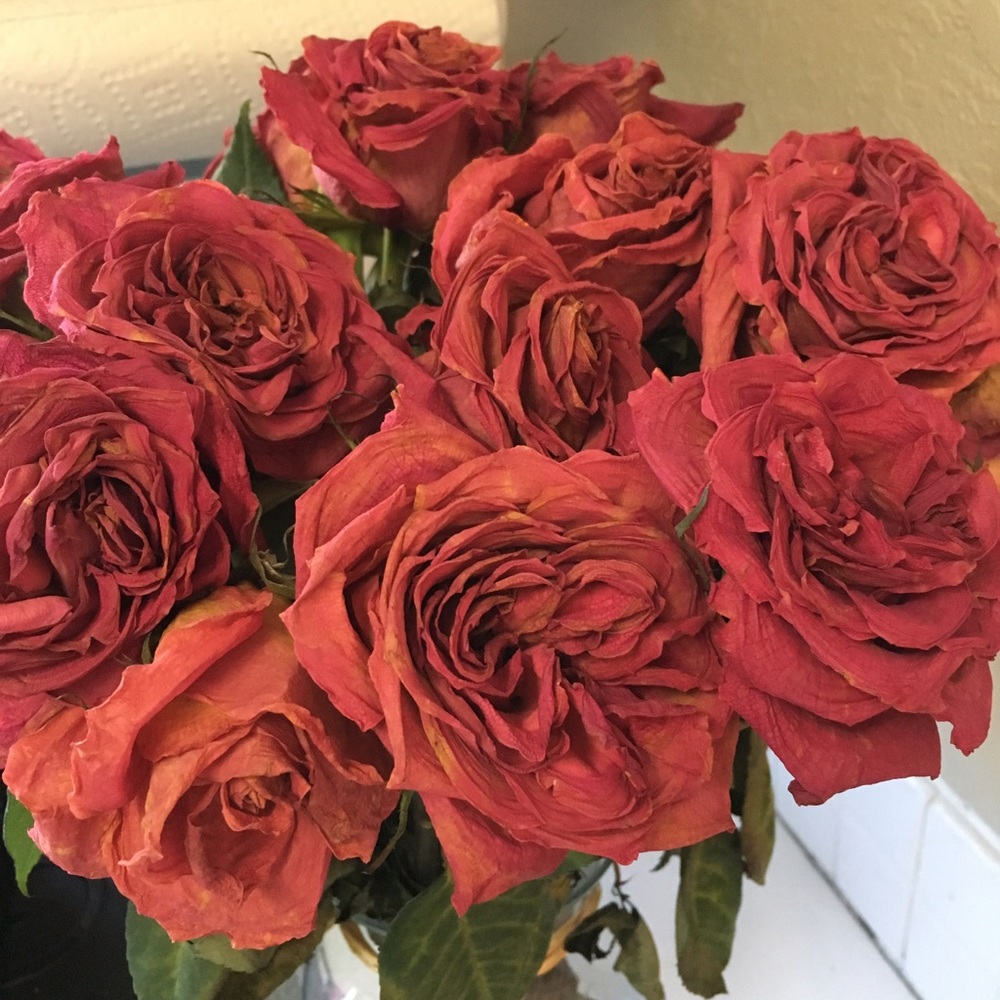 Meet your Posher, Wilailuck