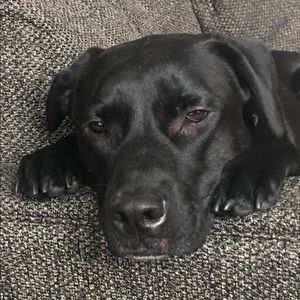 Meet your Posher, Jill