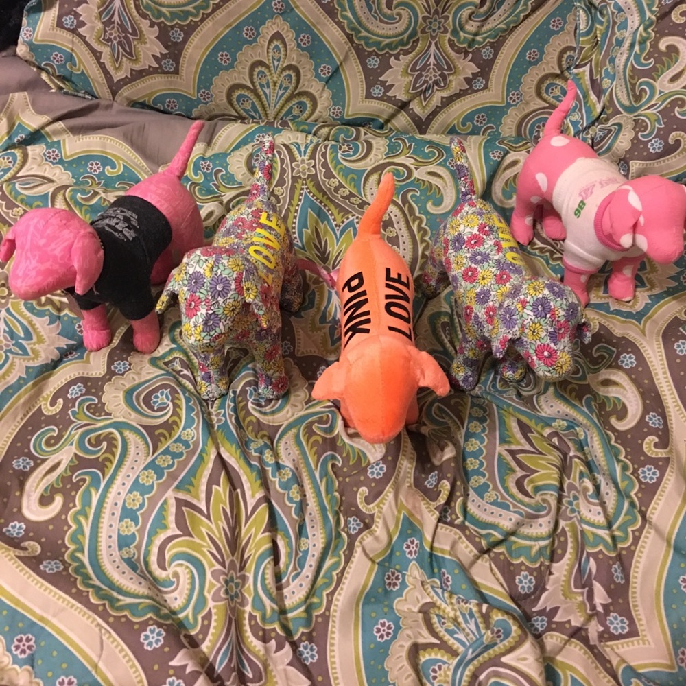 Victoria's Secret PINK dogs