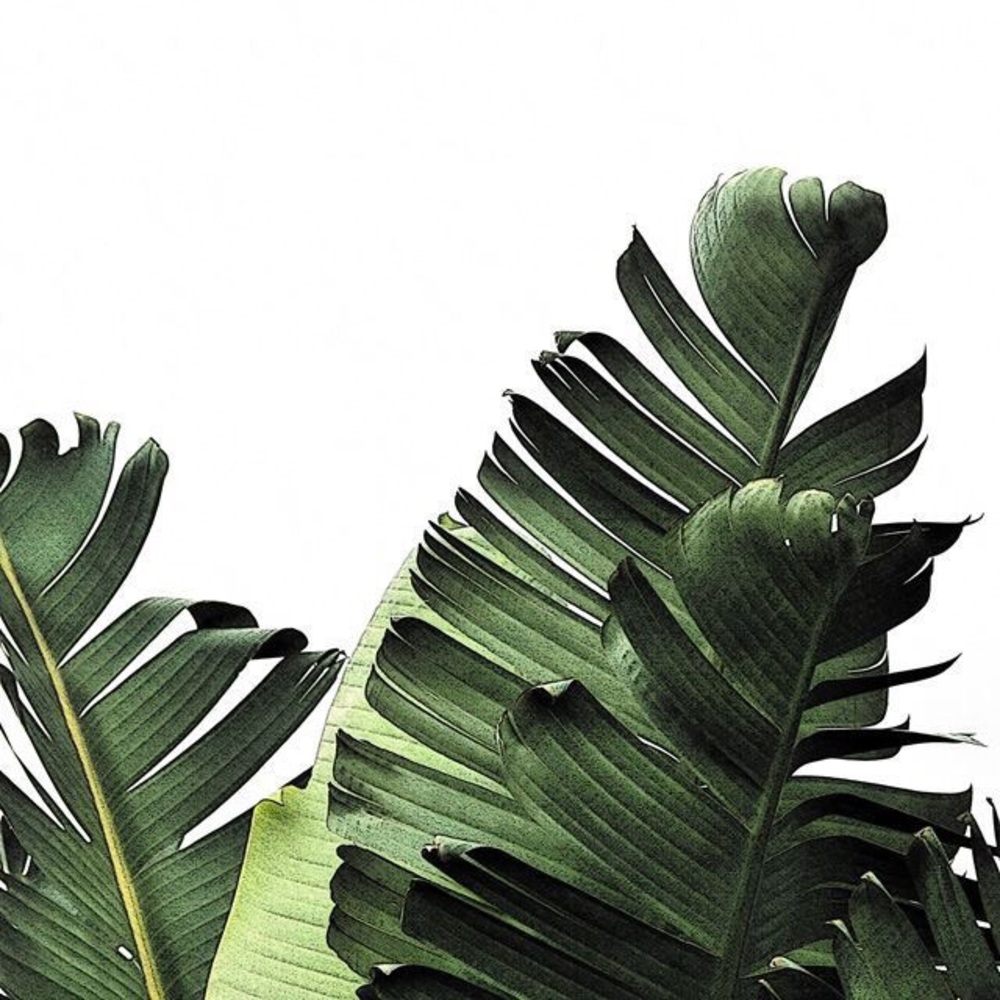 Meet your Posher, Karley