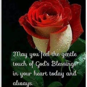 Meet your Posher, Stella