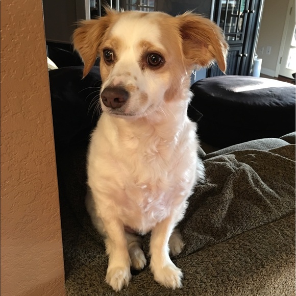 Meet your Posher, Lesley - Picture 6 of 8