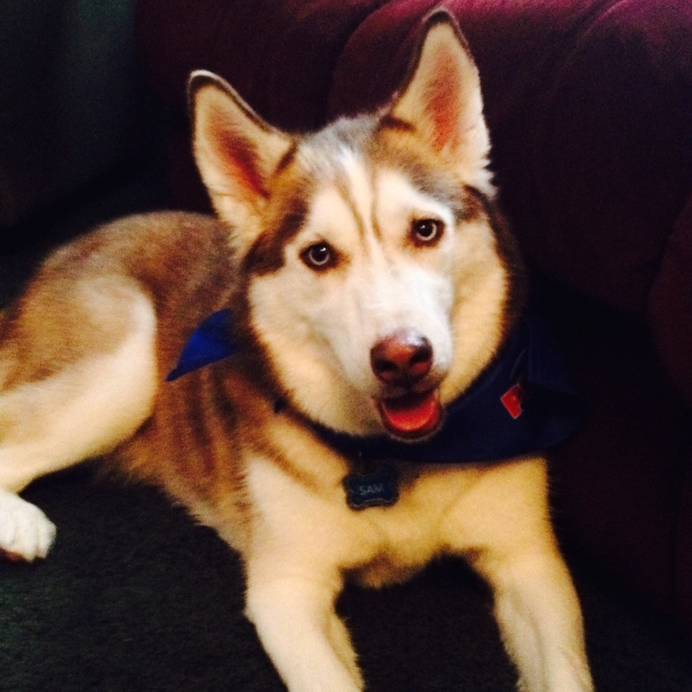 Meet your Posher, Louann