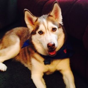 Meet your Posher, Louann