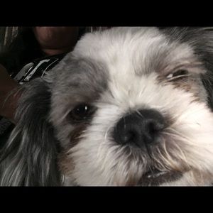 Meet your Posher, Martha