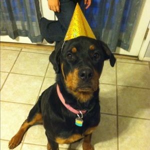 Meet your Posher, Roxanne