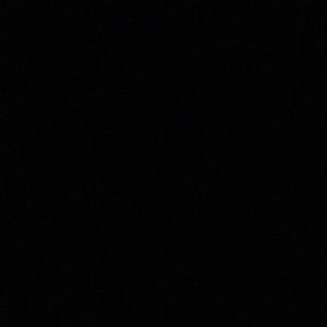 Meet your Posher, Ty