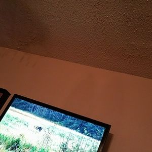 Meet your Posher, Bradley