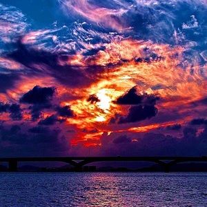 Meet your Posher, Wilson