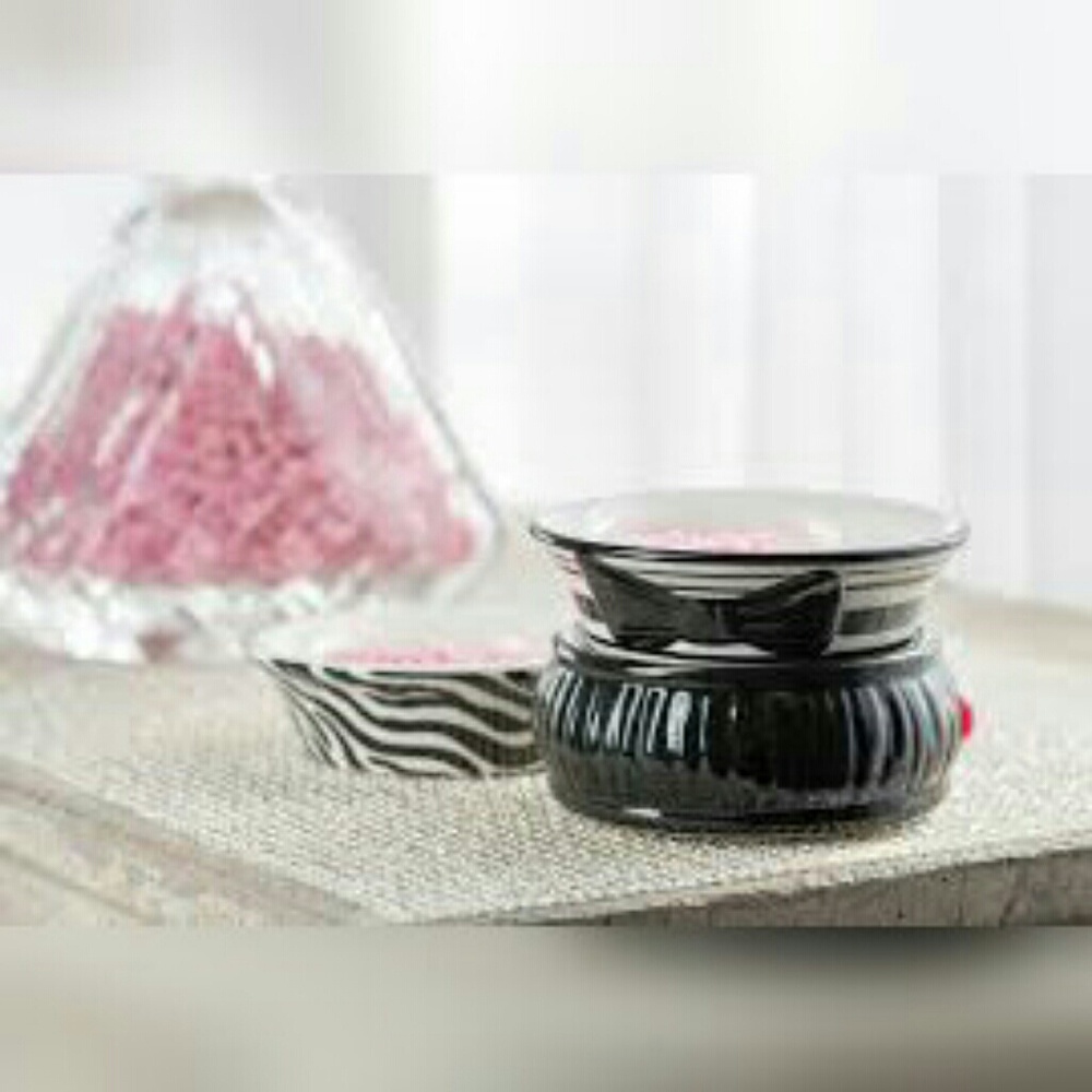 FLASH SALE!!! Pink Zebra Simmering Pot w/ 2 pots