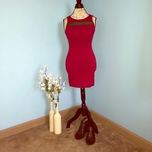 Fuchsia with black mesh Mini dress