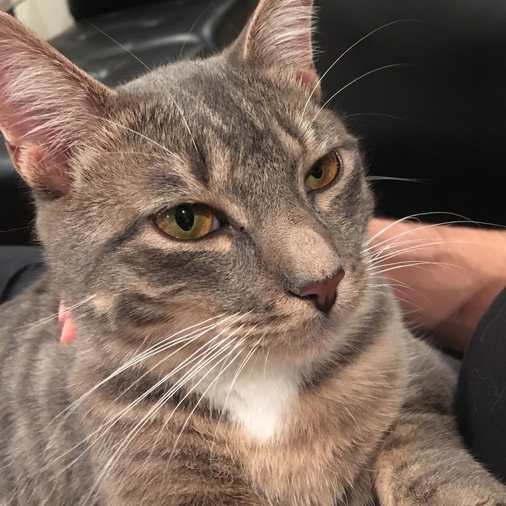 Meet your Posher, Mika