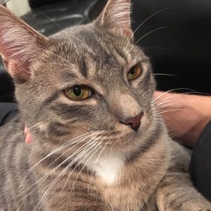 Meet your Posher, Mika