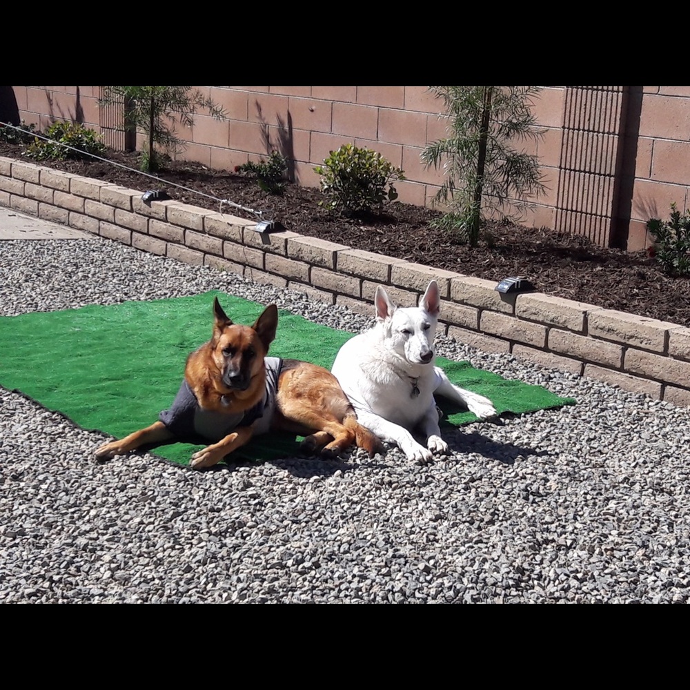 Meet your Posher, Edna