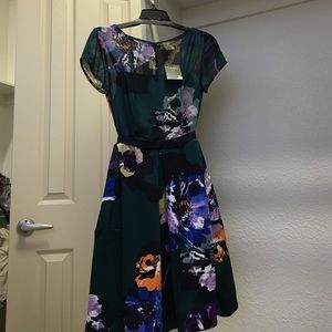 New: Taylor fit and flare dress