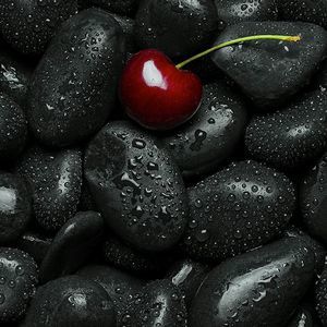 Meet your Posher, Ann