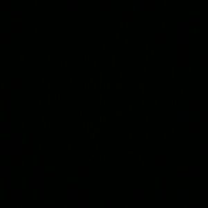 Meet your Posher, Faustina