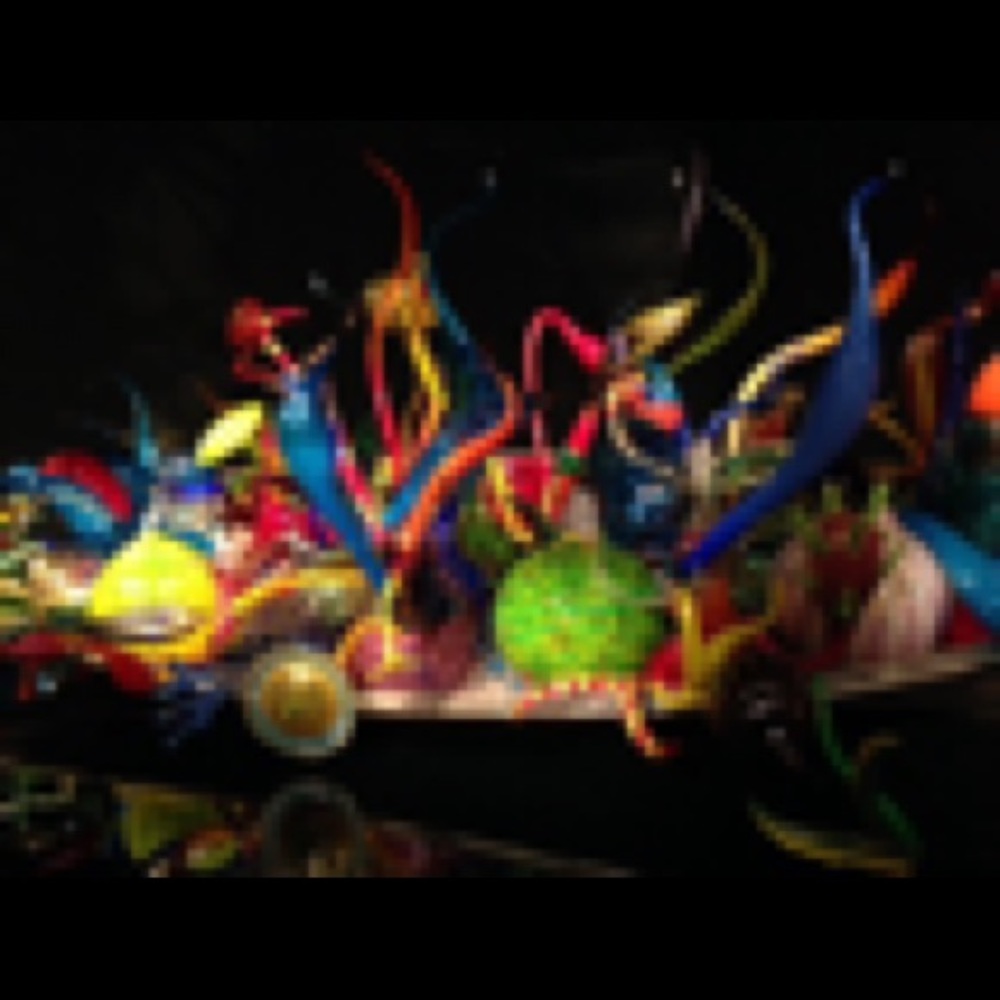 Meet your Posher, Grace