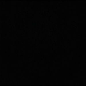 Meet your Posher, Ray