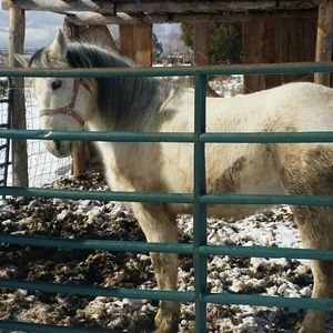 Meet your Posher, Mary