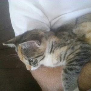 Meet your Posher, Eric