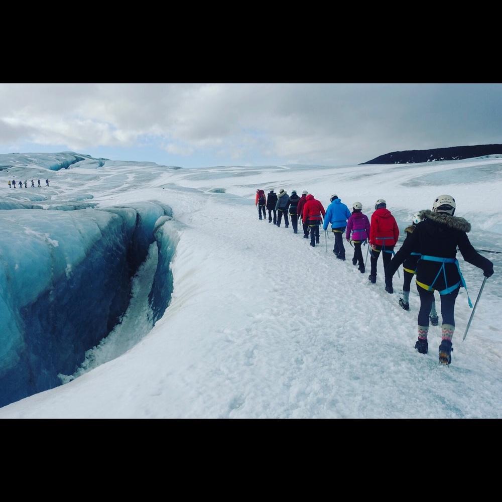 Meet your Posher, Shelly