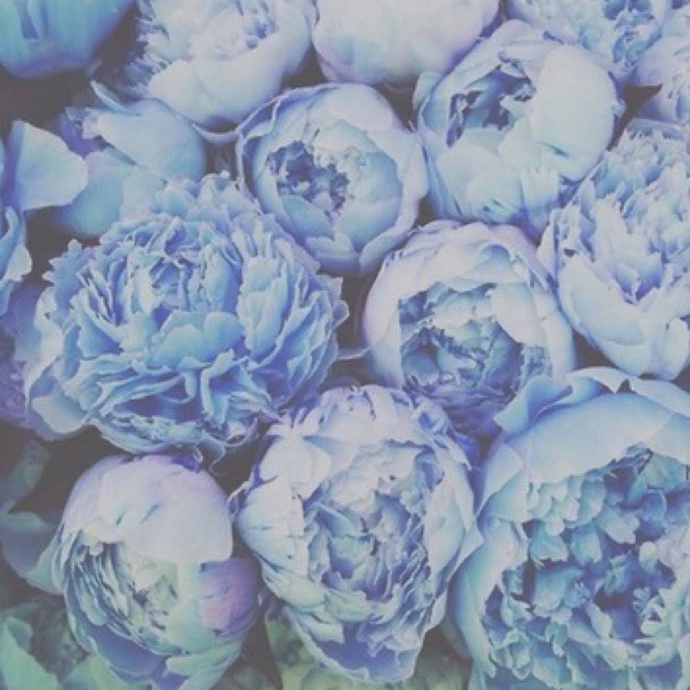 Meet your Posher, Charisse