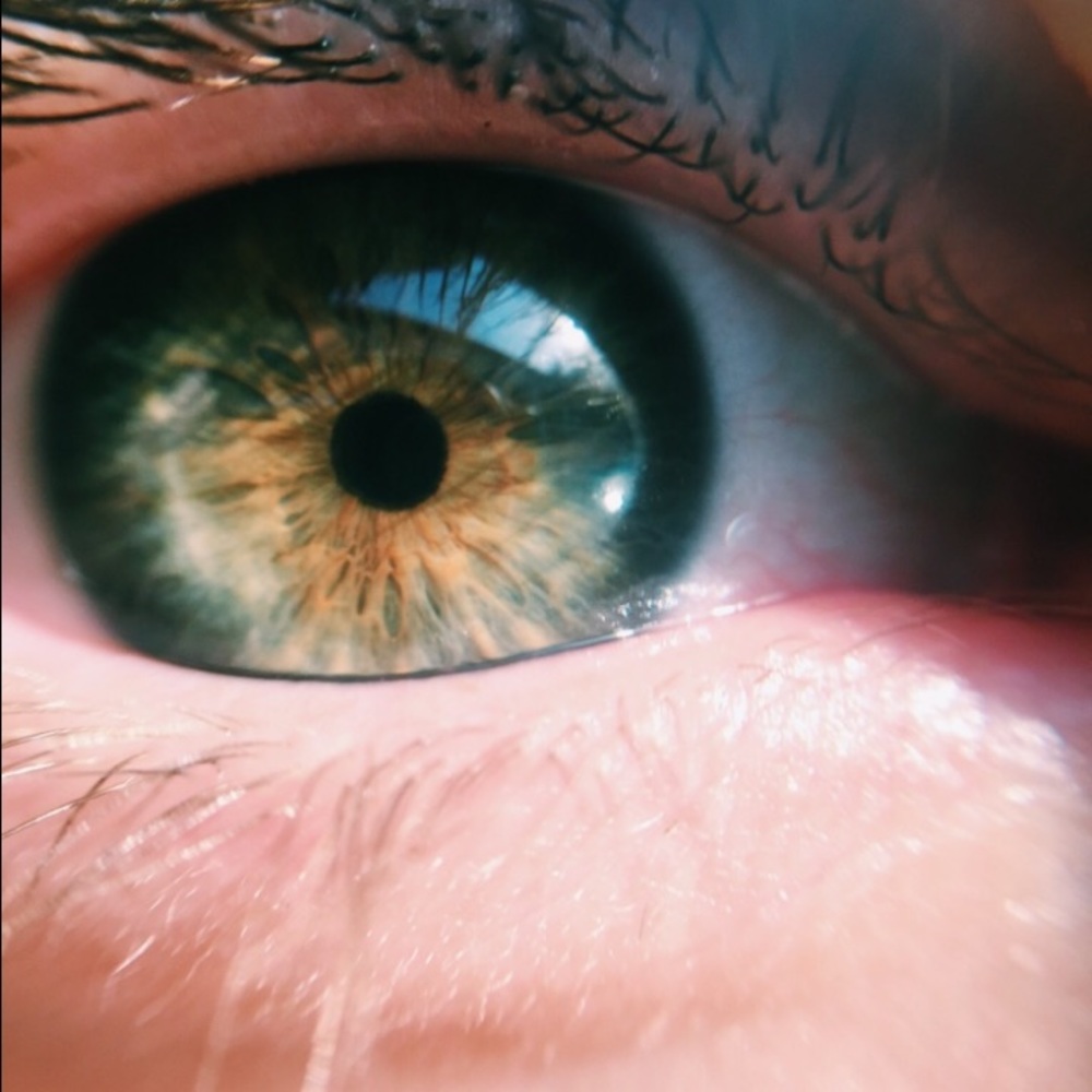 Meet your Posher, Mia