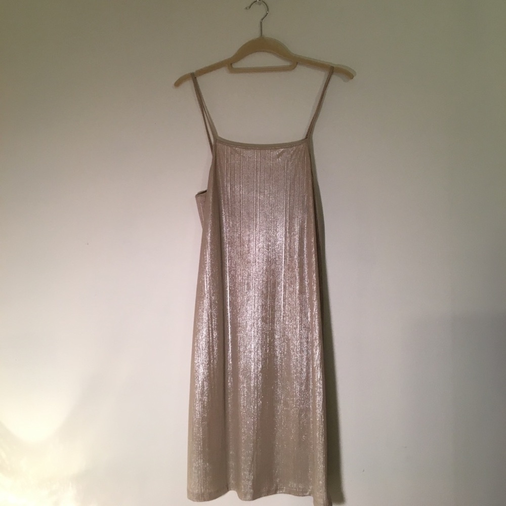 ZARA NWT slip dress!
