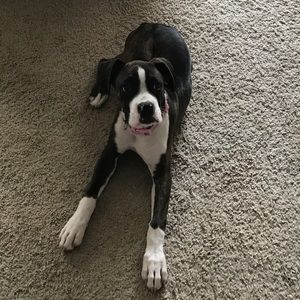 Meet your Posher, Zachary