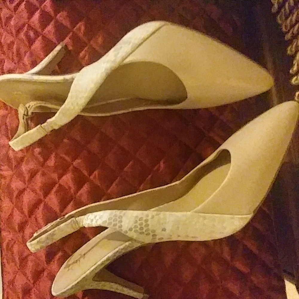 Ann Taylor Shoes