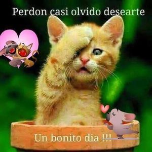 Meet your Posher, Brenda