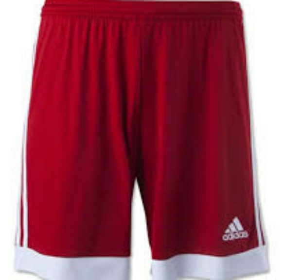 adidas performance women's tastigo knit shorts
