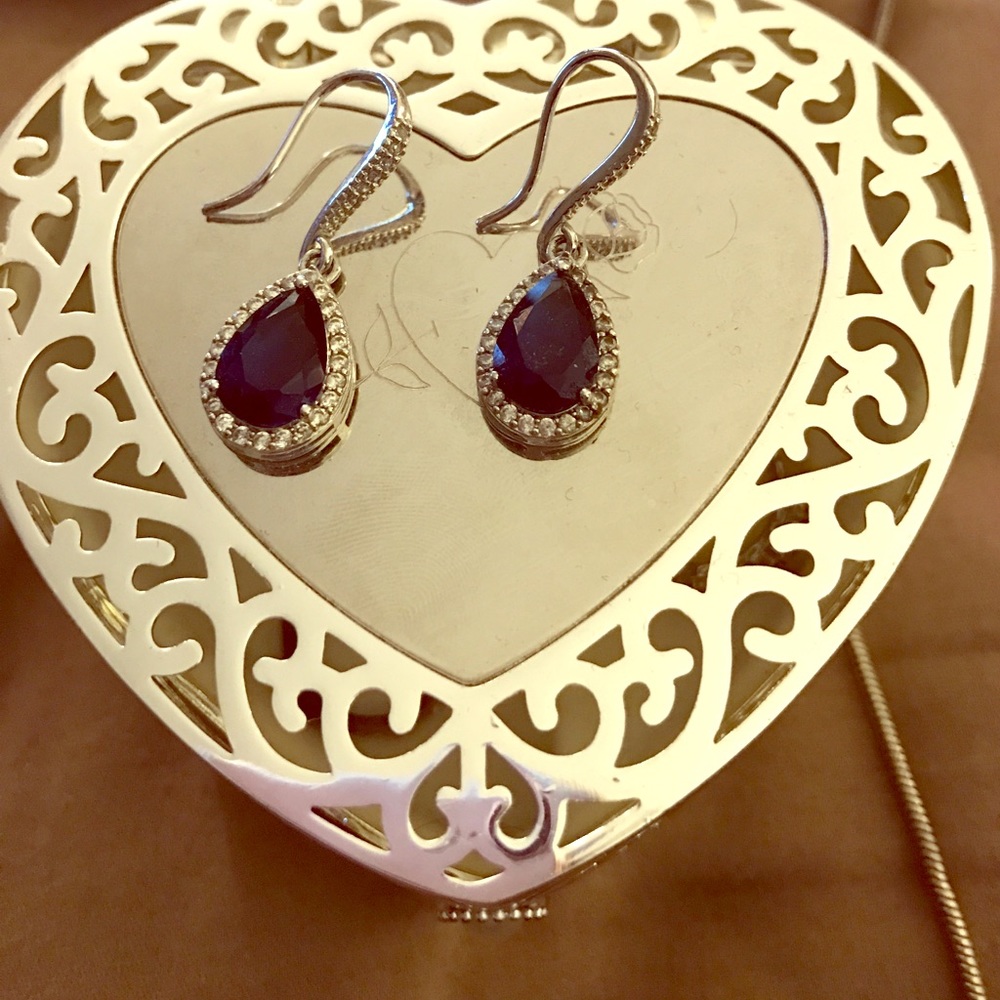 Beautiful Navy Blue Gem Earings ⚡️NEVER WORN⚡️