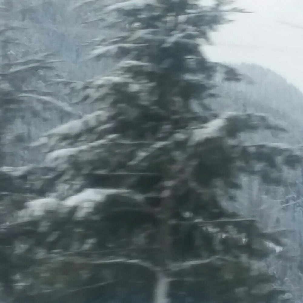 Meet your Posher, Aviana