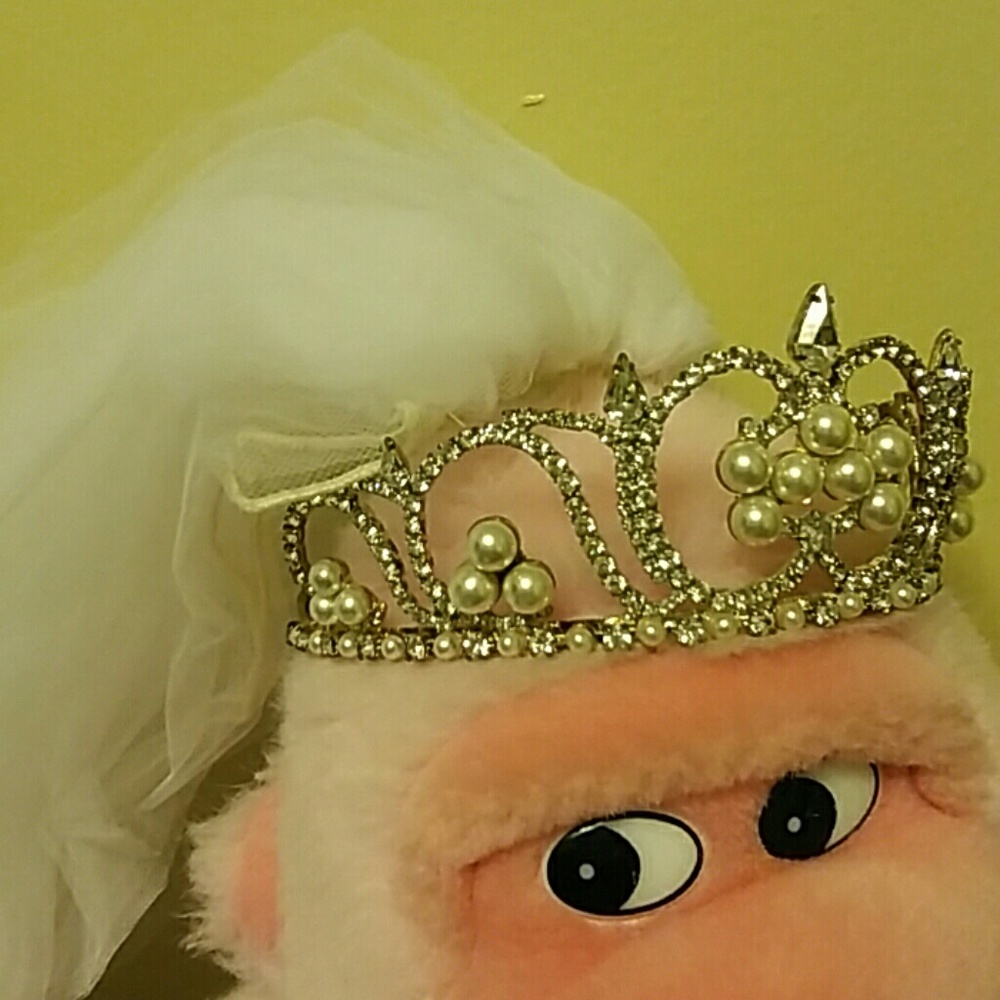Veil and Tiara