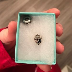 Two pandora bracelet charms