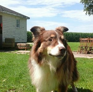 Meet your Posher, Lori