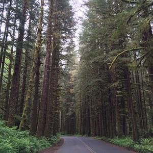 Meet your Posher, Kenny