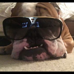 Louis Vuitton Black Evidence Sunglasses