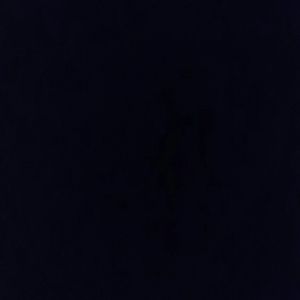 Meet your Posher, Will