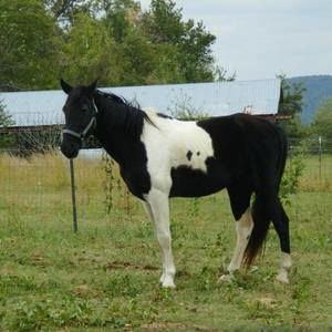 Meet your Posher, Retta