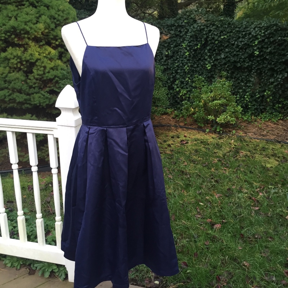 NWT Women's dress (Size large)